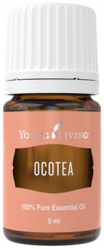 Young Living Ocotea