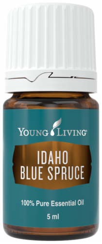 Young Living Idaho Blue Spruce