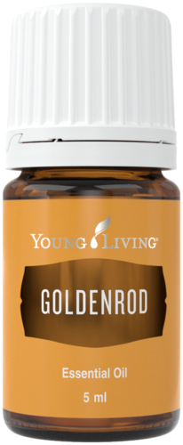 Young Living Goldenrod