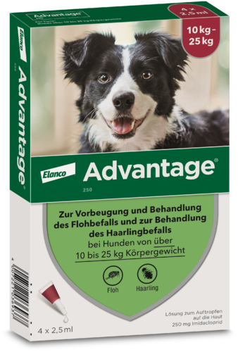 Advantage 250 mg Lösung für Hunde 10-25 kg