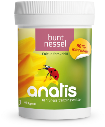 Anatis Buntnessel