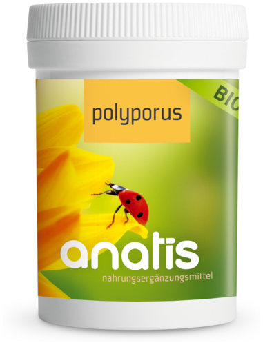 Anatis Polyporus Vitalpilz BIO