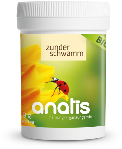Anatis Zunderschwamm Vitalpilz BIO
