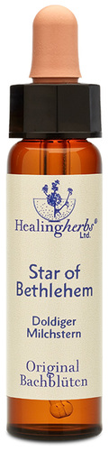 Adler Bachblüten Star of Bethlehem