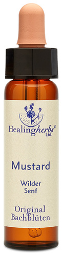 Adler Bachblüten Mustard