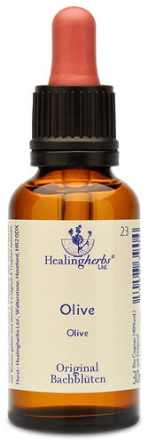 Adler Bachblüten Olive