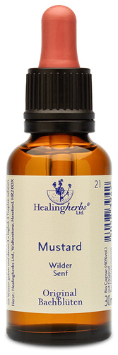 Adler Bachblüten Mustard