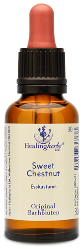 Adler Bachblüten Sweet Chestnut