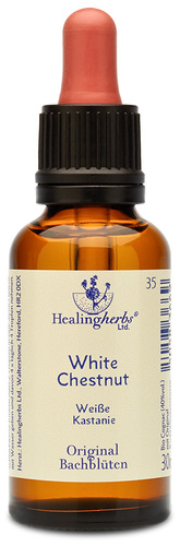 Adler Bachblüten White Chestnut