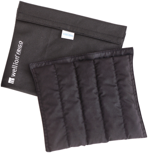 Wellion Frigo Kühltasche