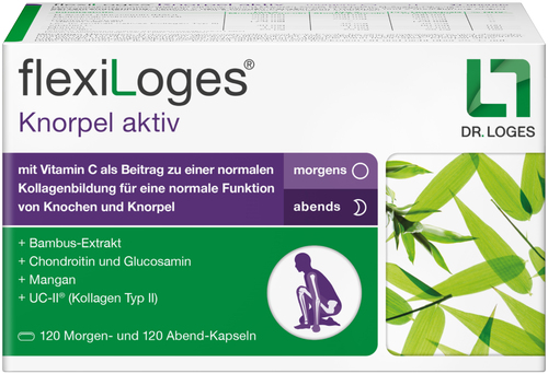 flexiLoges Knorpel aktiv