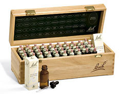 Original Bach-Blüten Premium Set 40 x 20 ml