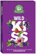 Dr. Kottas Wild Kiss 15428
